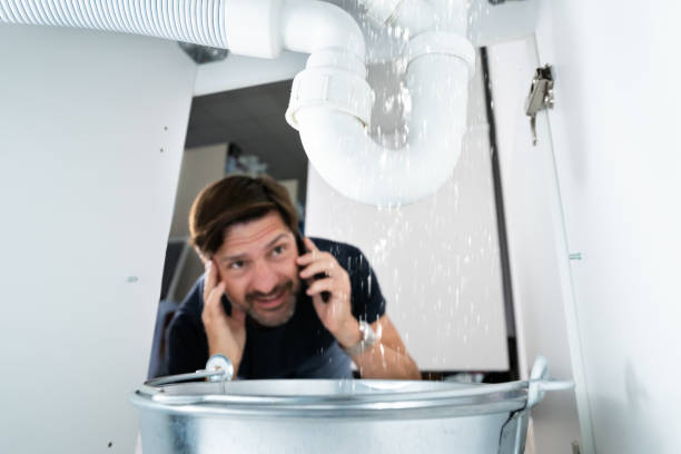 Best Septic Systems  in Westchester, IL